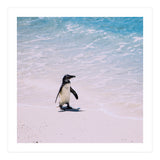 Beach (Print Only) thumbnail