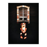 VooDooTooL - Desvodat (Print Only) thumbnail