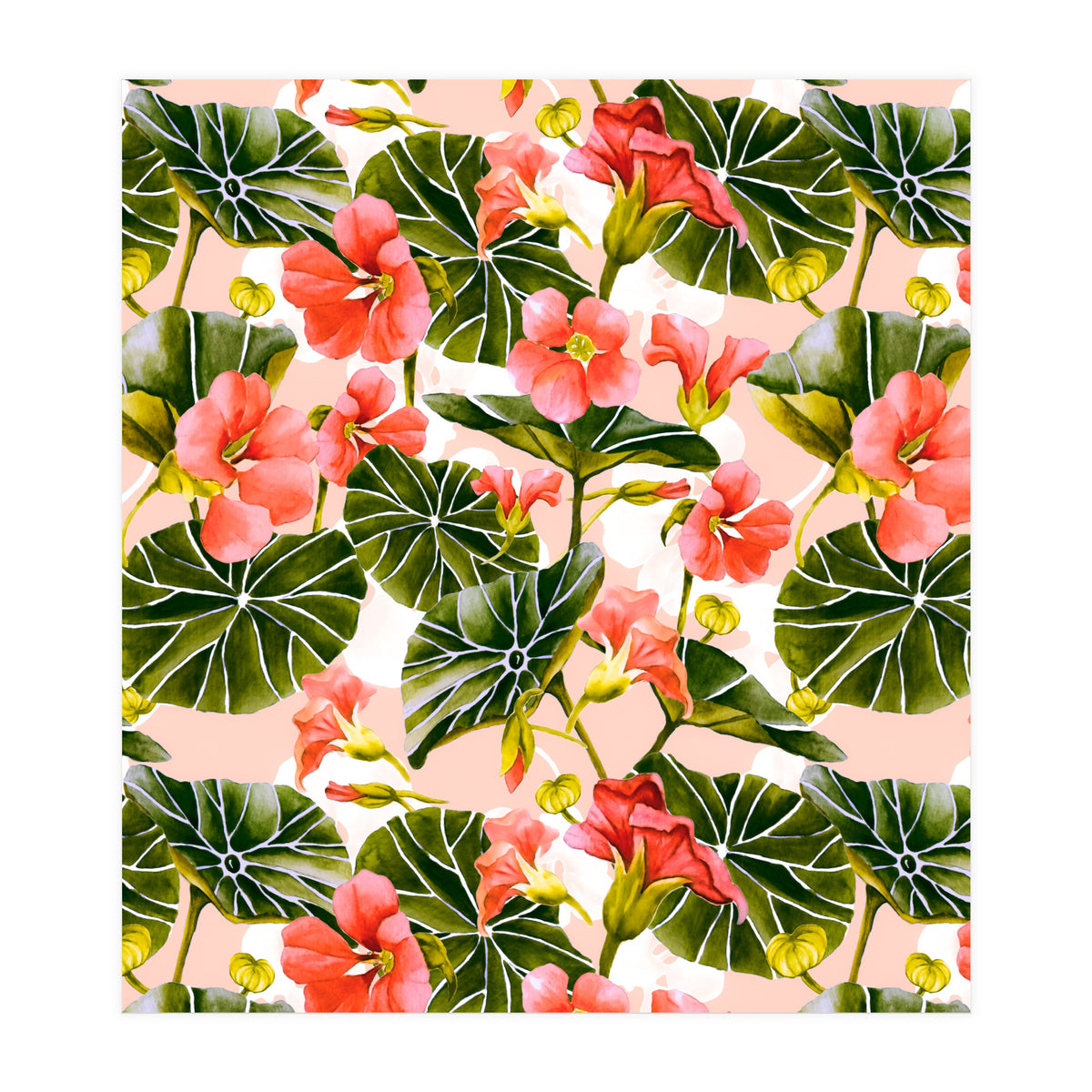 Nasturtiums watercolor 03 (Print Only)