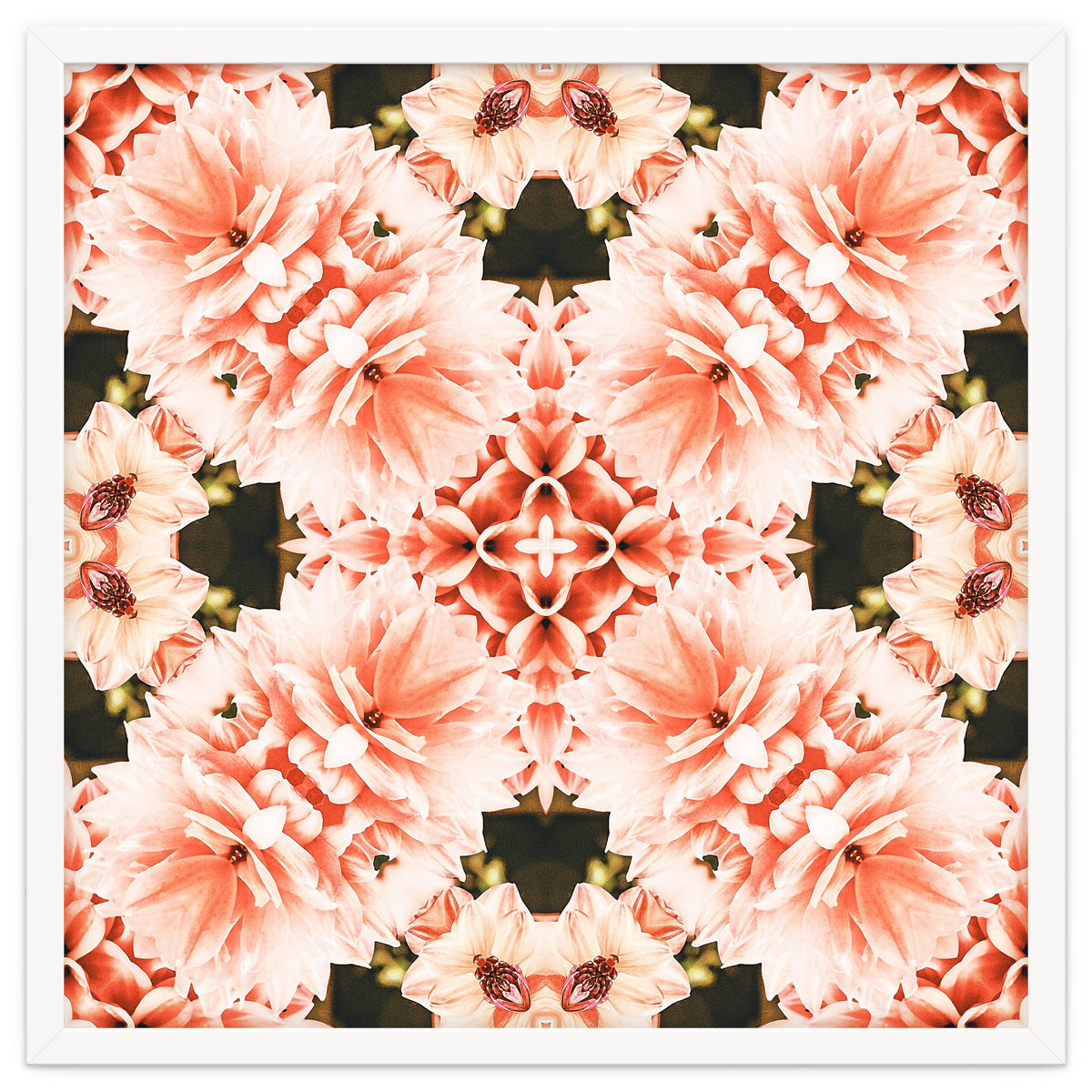 Blush Mandala