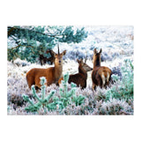 Unicorn Deer (Print Only) thumbnail