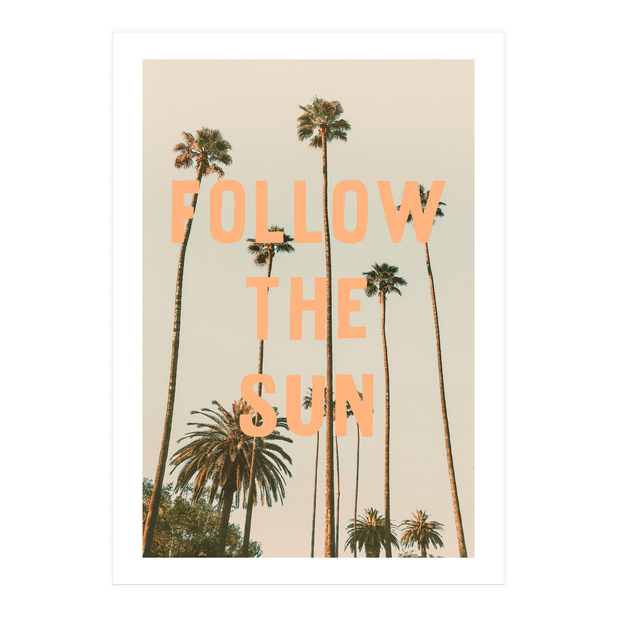 Follow The Sun (Print Only)