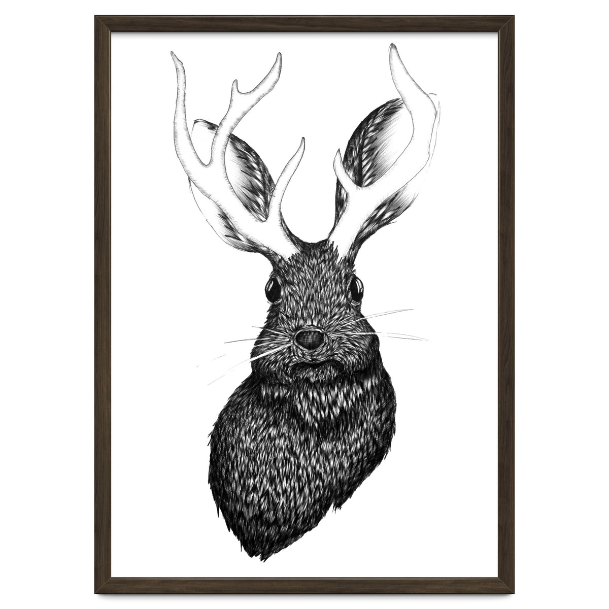 Jackalope