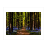 The Path To Light (Print Only) thumbnail