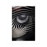 Dark Eyes  (Print Only) thumbnail