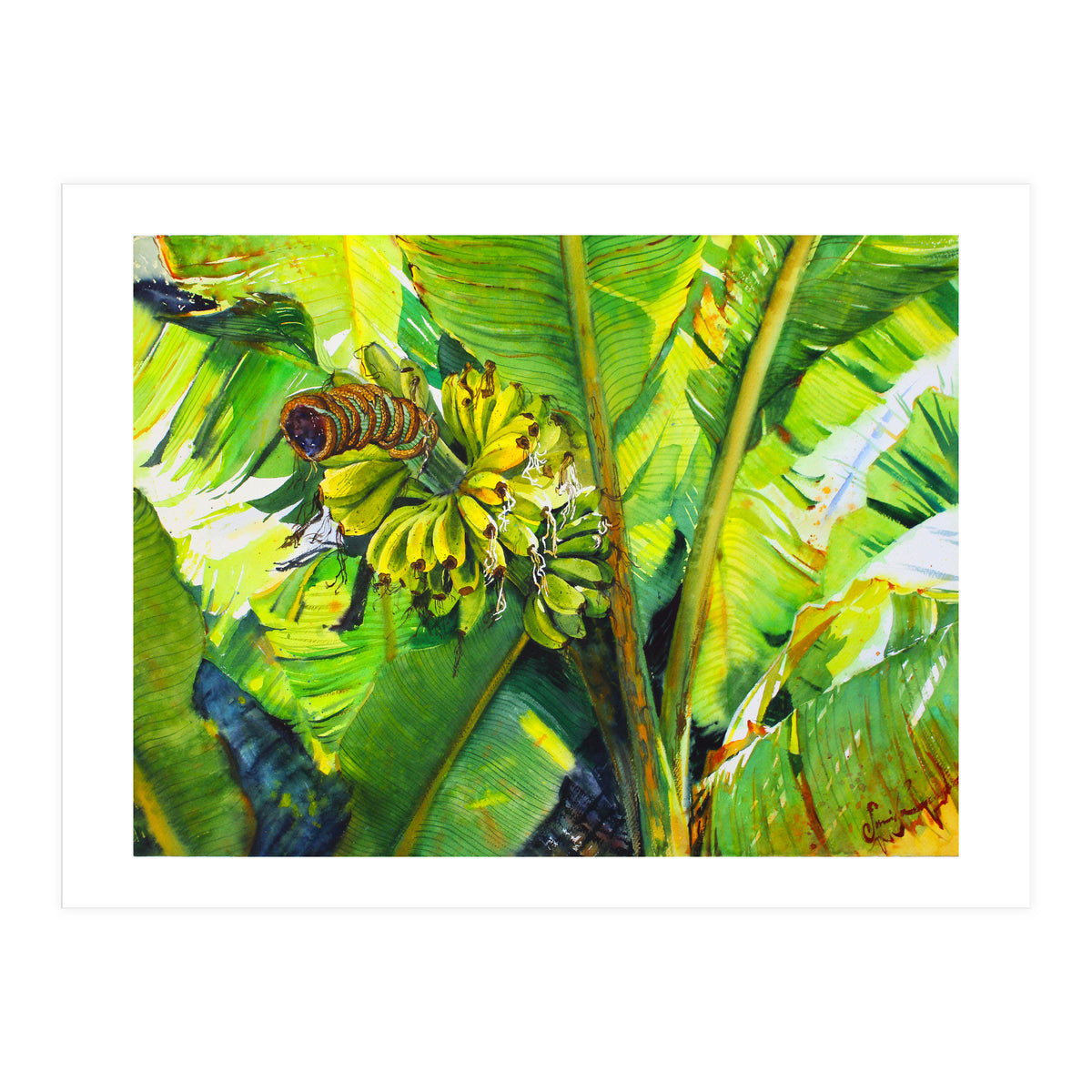 Tropical Fruit (Print Only)