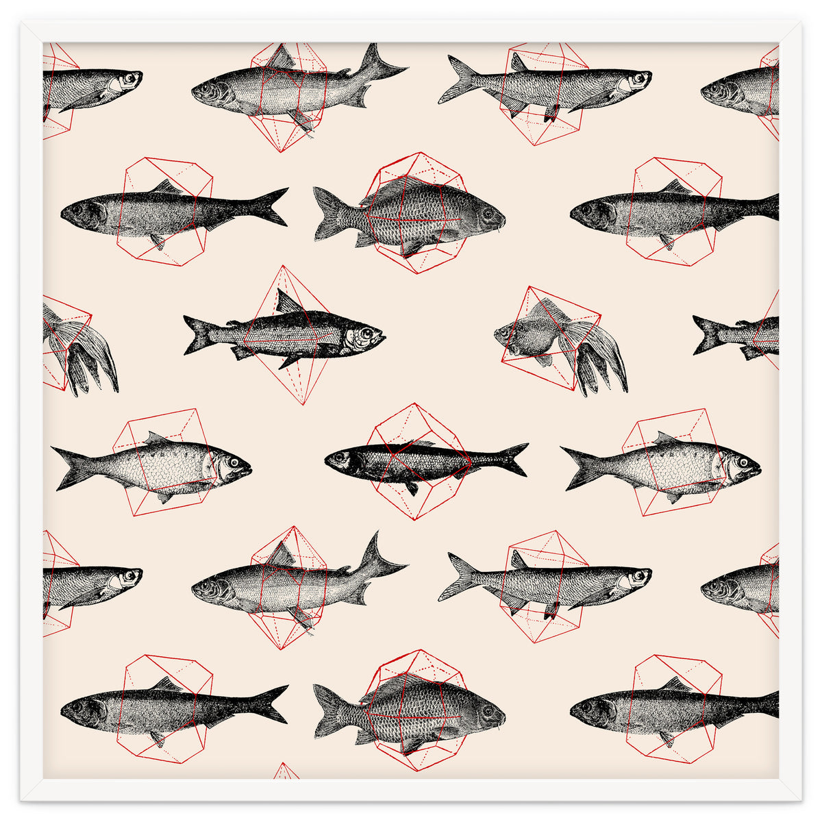 Fish In Geometrics