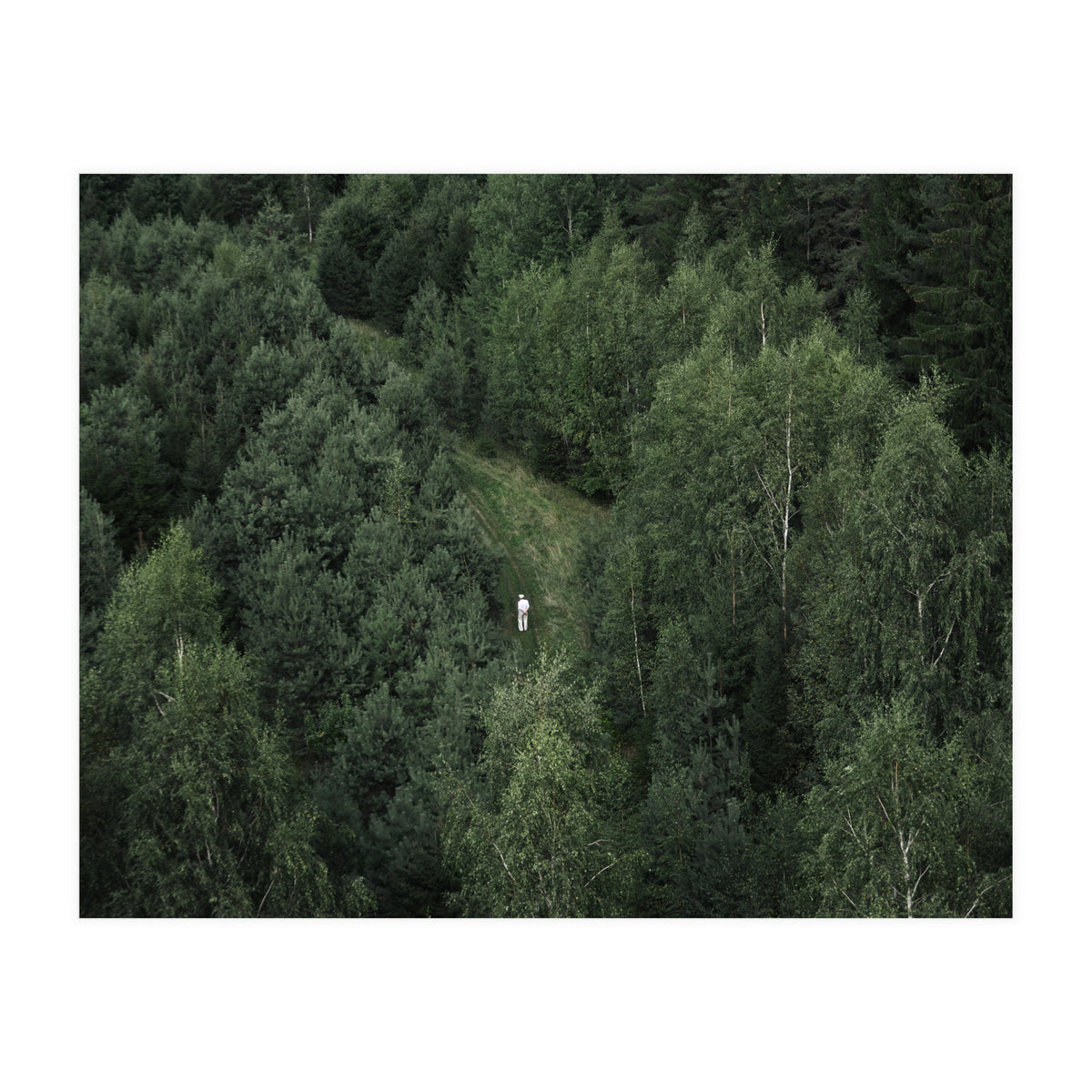 What's the Date Today? (Print Only)