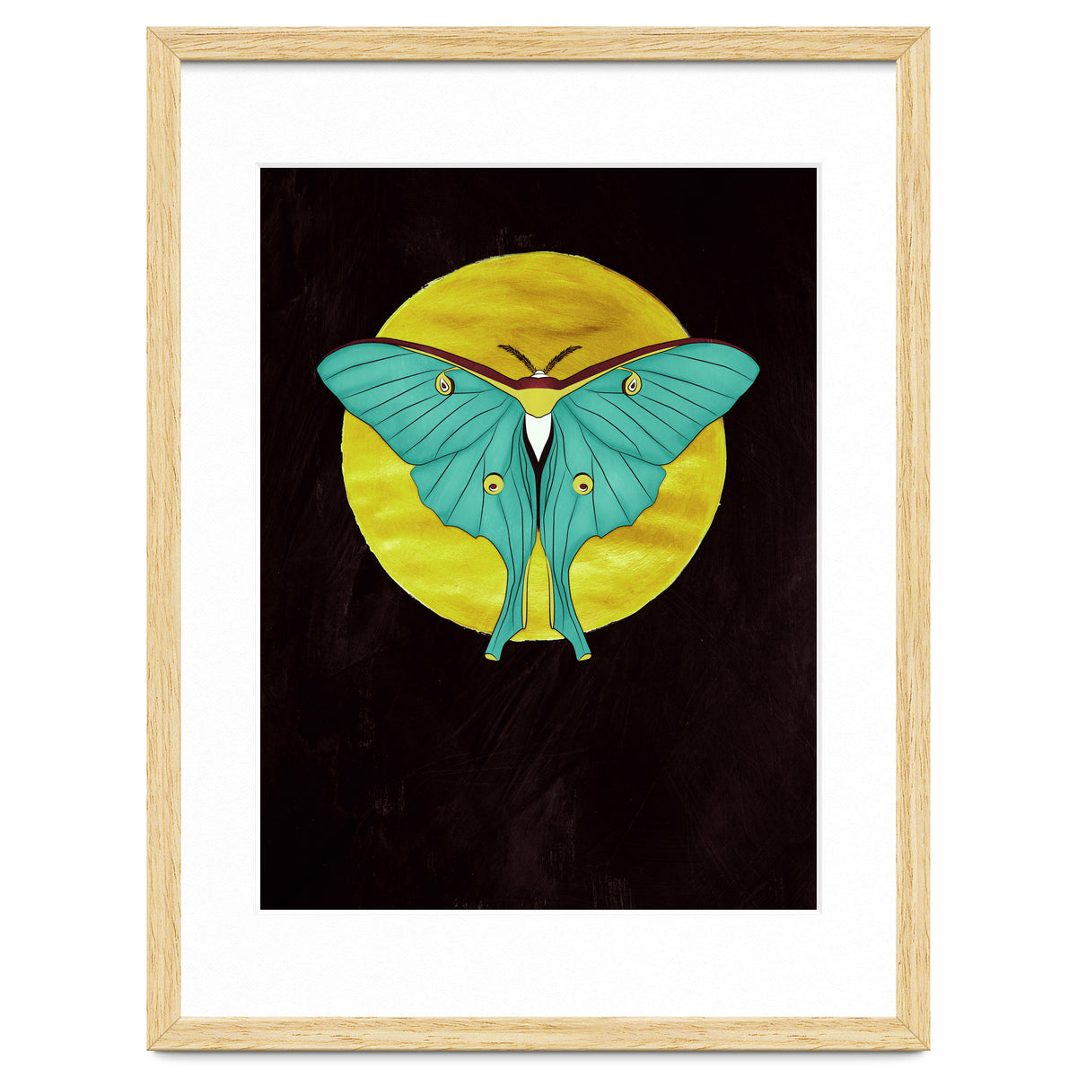 Luna Moth Moon