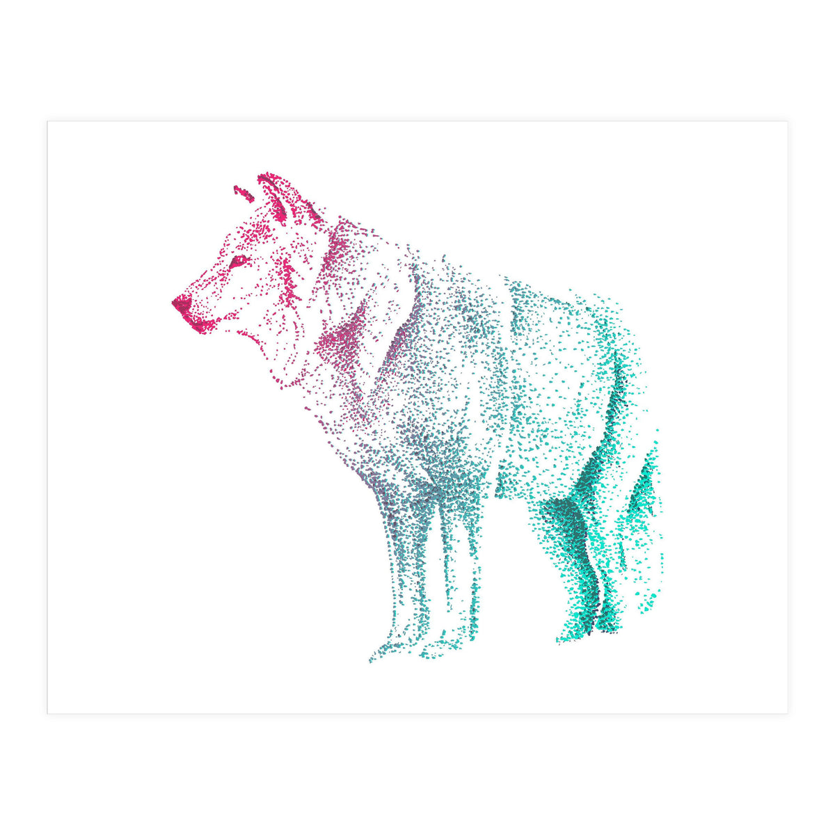Wolf  (Print Only)