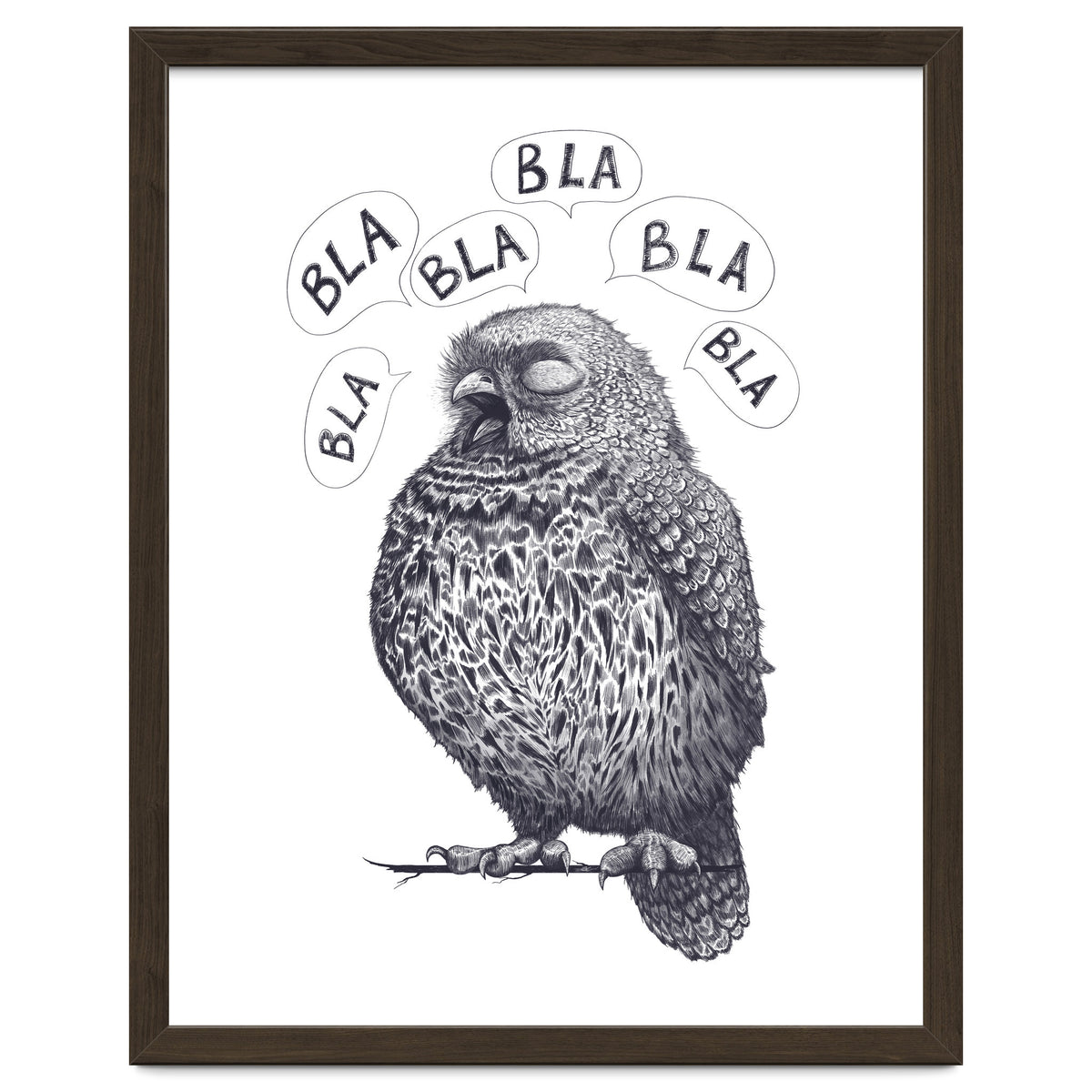 Owl Bla Bla Bla