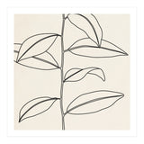 LEAF IN LINE 01 (Print Only) thumbnail