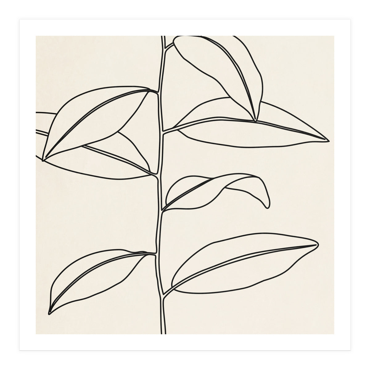 LEAF IN LINE 01 (Print Only)