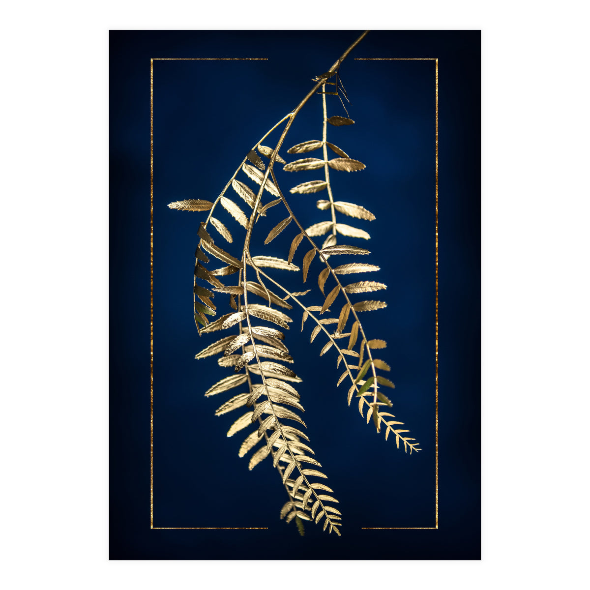 Golden Pepper Tree (Print Only)