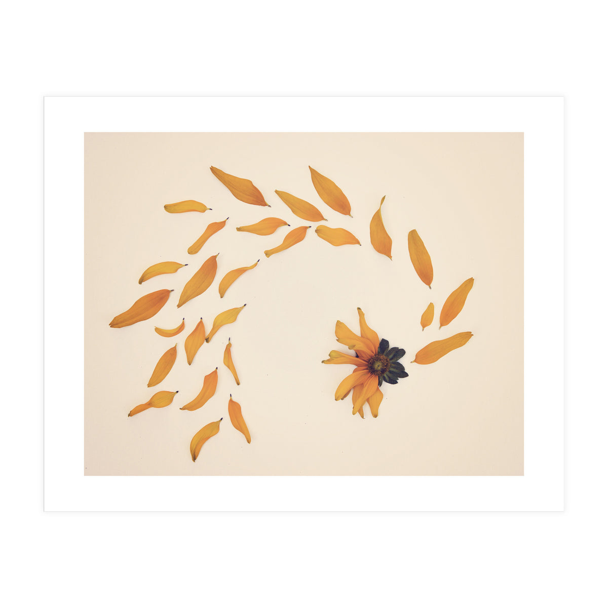 Everything Changed (Print Only)