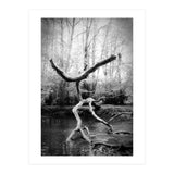 the negotiator (Print Only) thumbnail