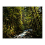 Cascade River (Print Only) thumbnail