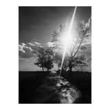 Walking on the shadows (Print Only) thumbnail