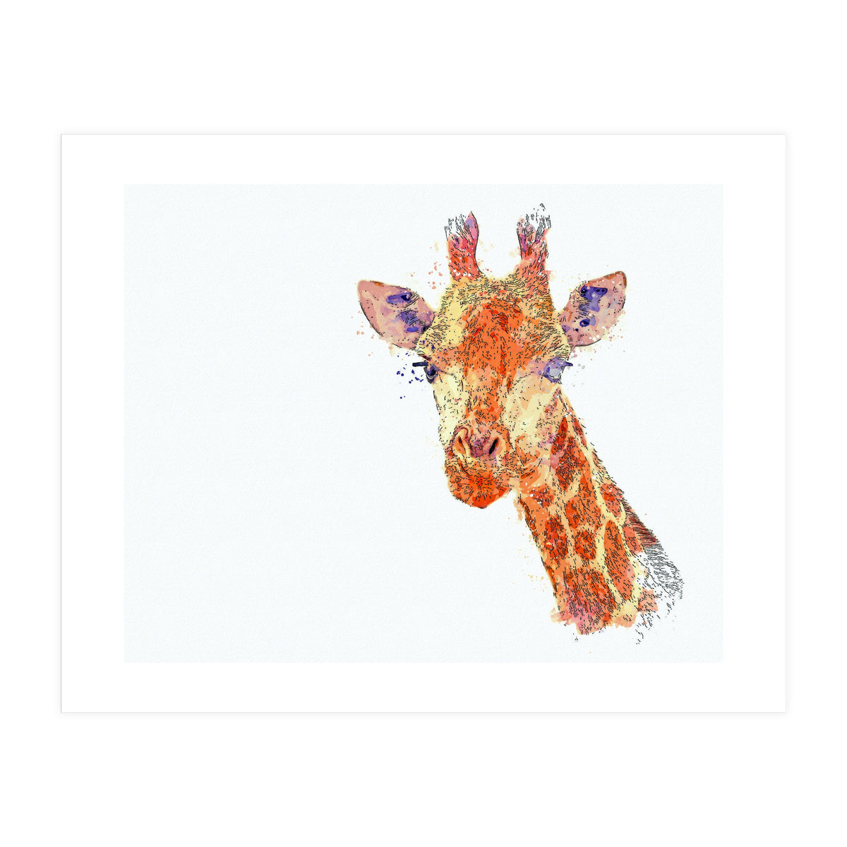 Grayson (Print Only)