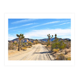 Joshua Tree II (Print Only) thumbnail