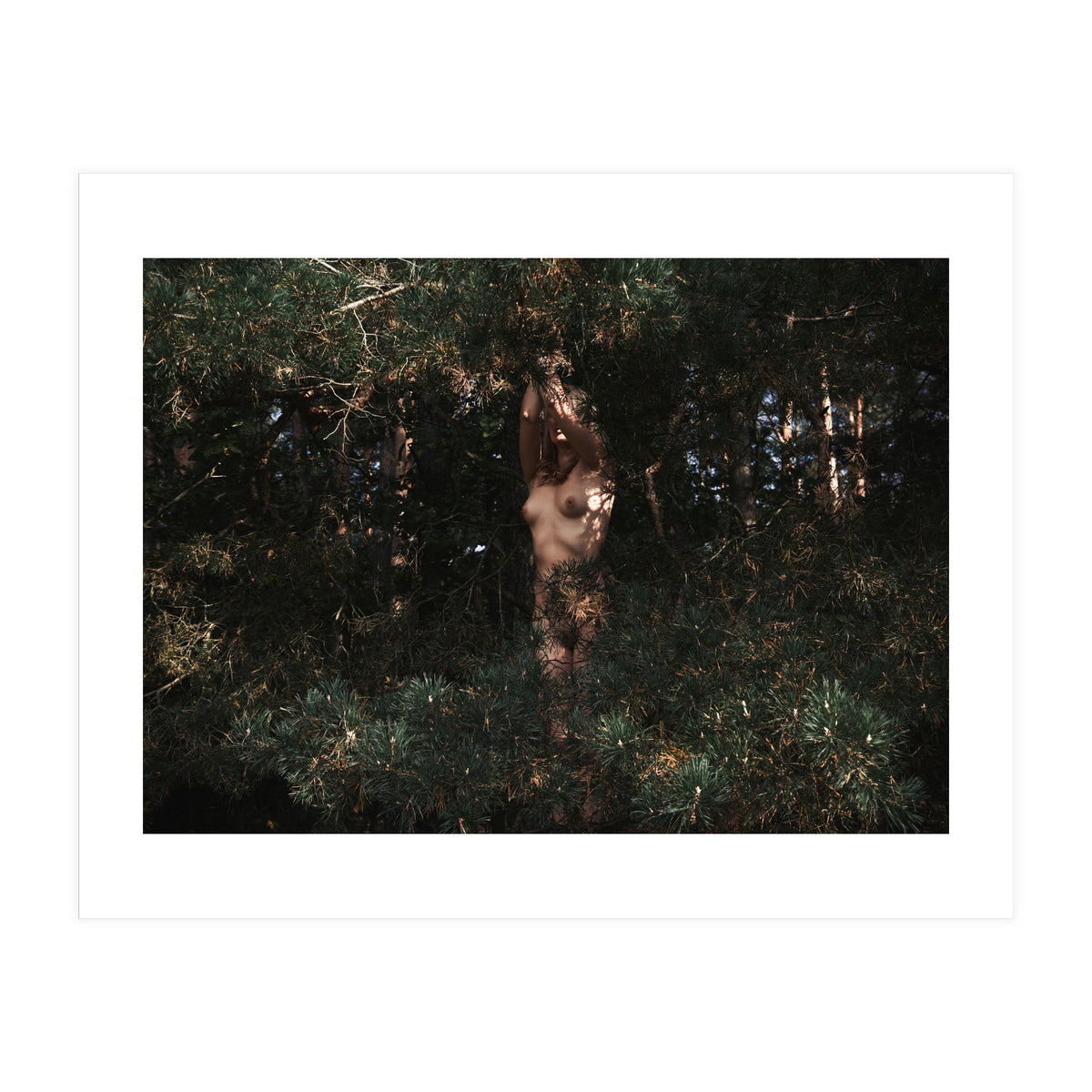Wild Wild Woods (Print Only)
