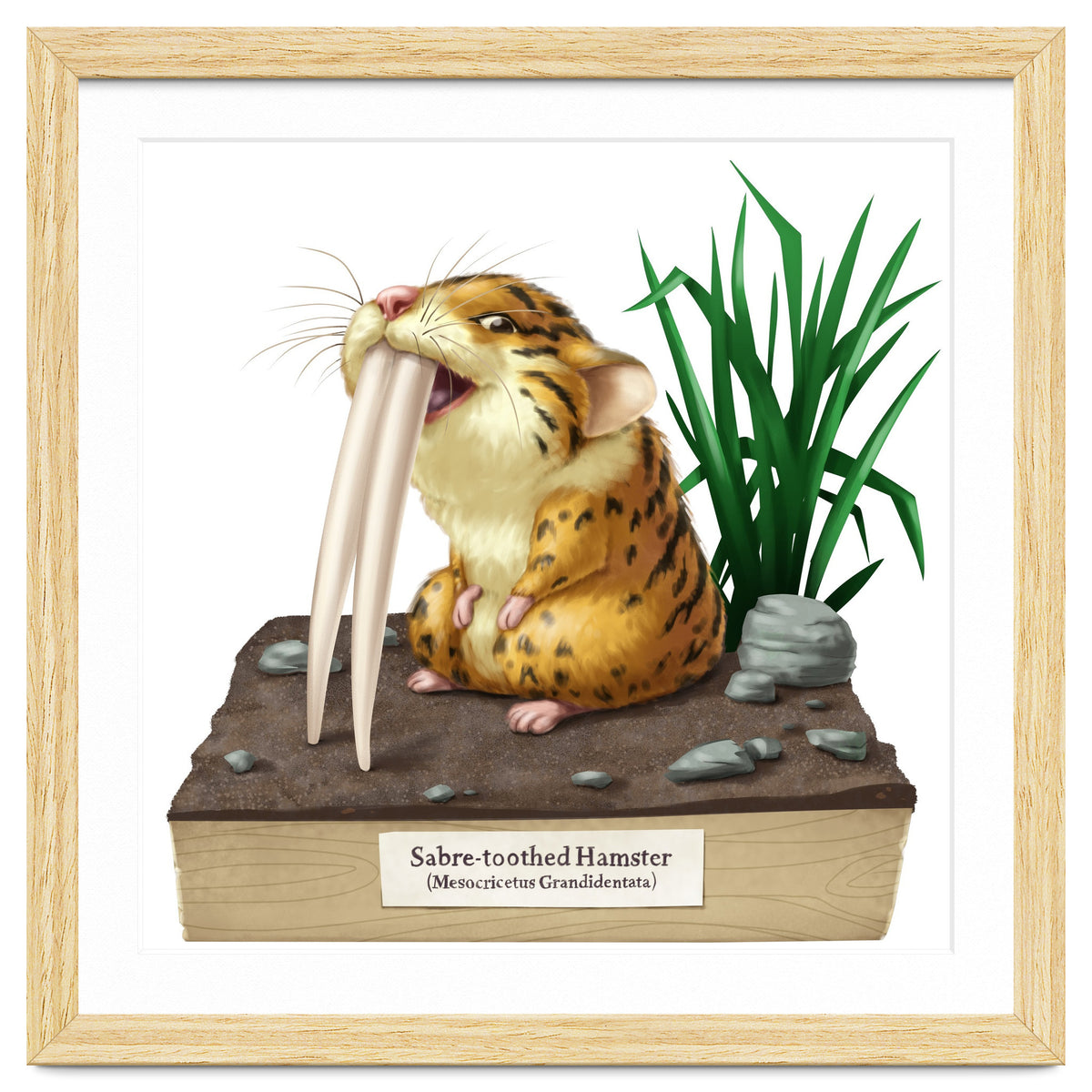 Saber-toothed Hamster