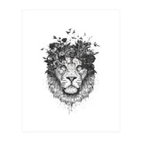 Floral Lion Bw (Print Only) thumbnail
