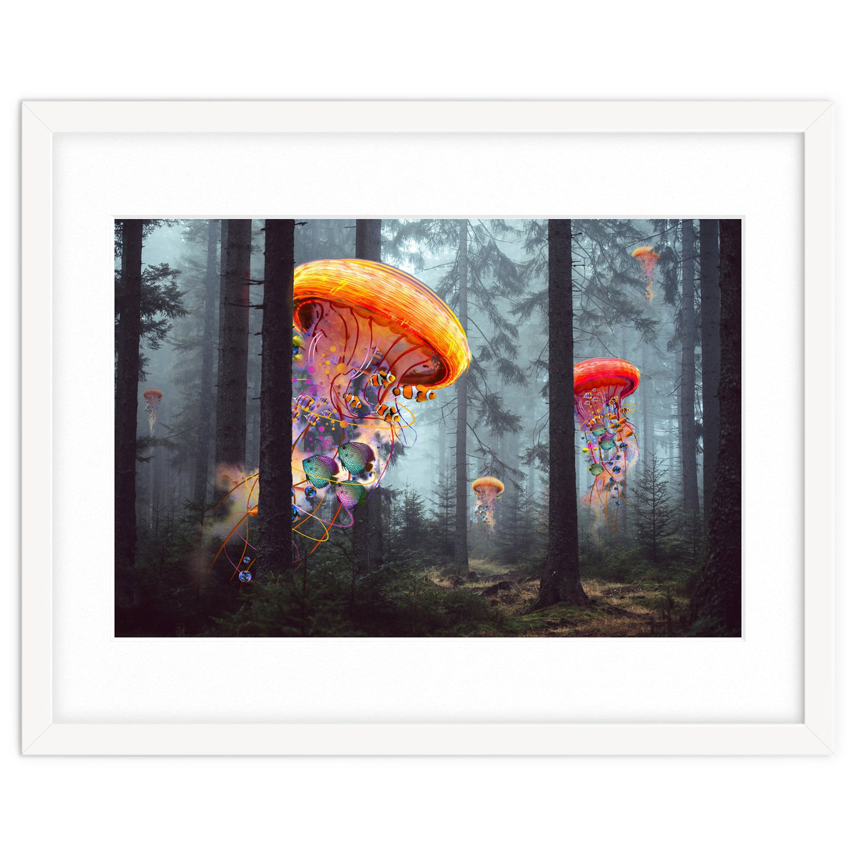 Forest Jellyfish For Print7000
