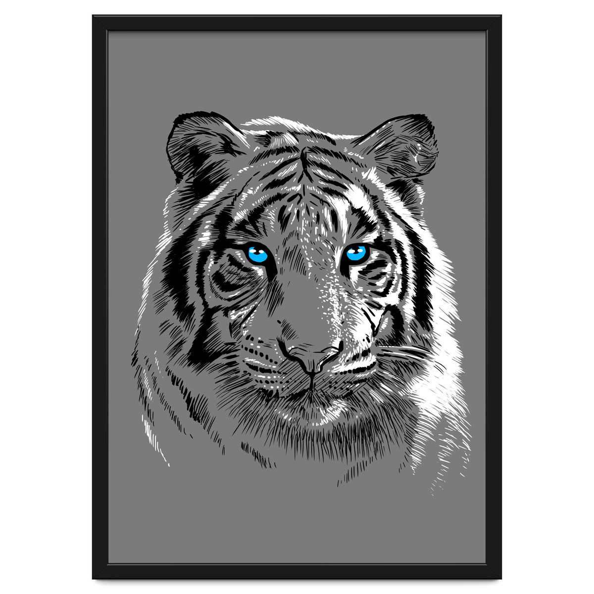 Sketch Tiger