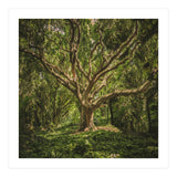 Spirits inside the wood (Print Only) thumbnail