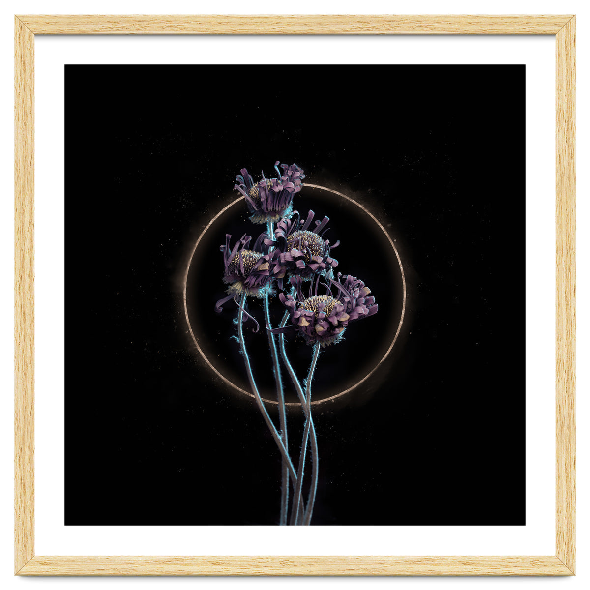 Candy-Coloured Mystery