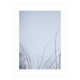 Forgotten Memories of Summer #20 (Print Only) thumbnail