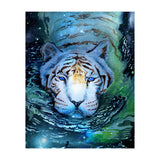 Galaxy Swim (Print Only) thumbnail