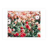 Meadow (Print Only) thumbnail