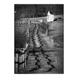 Forestry path (Print Only) thumbnail
