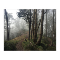 Mt. Davidson II (Print Only)