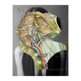 Crazy Woman 210 (Print Only) thumbnail