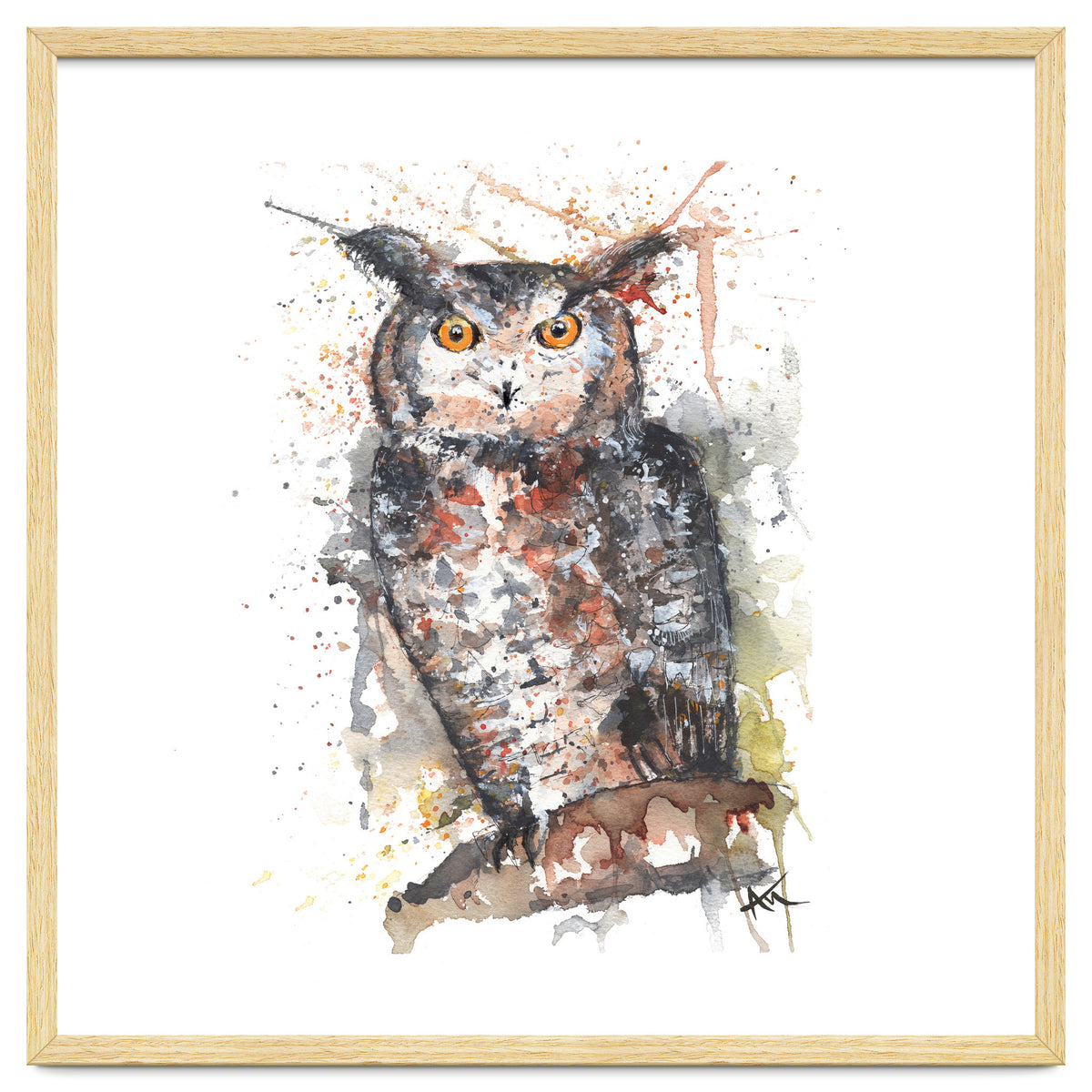 Owl - Wildlife Collection