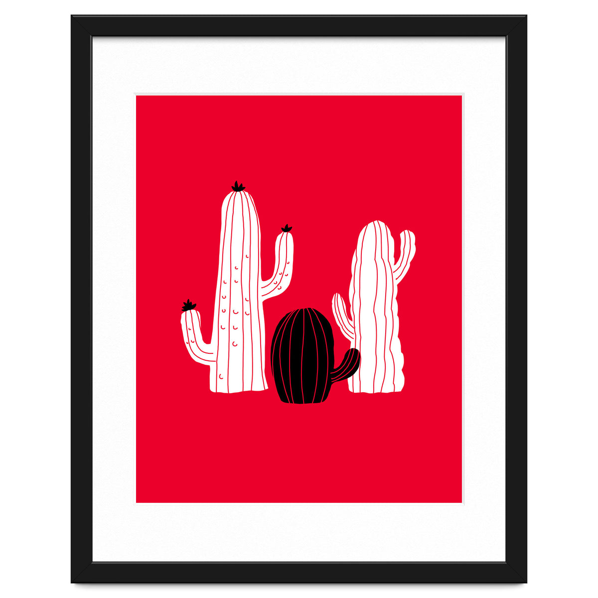Cactus
