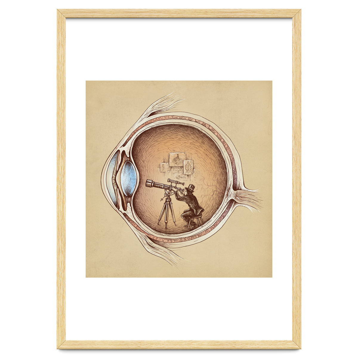 Extraordinary Observer