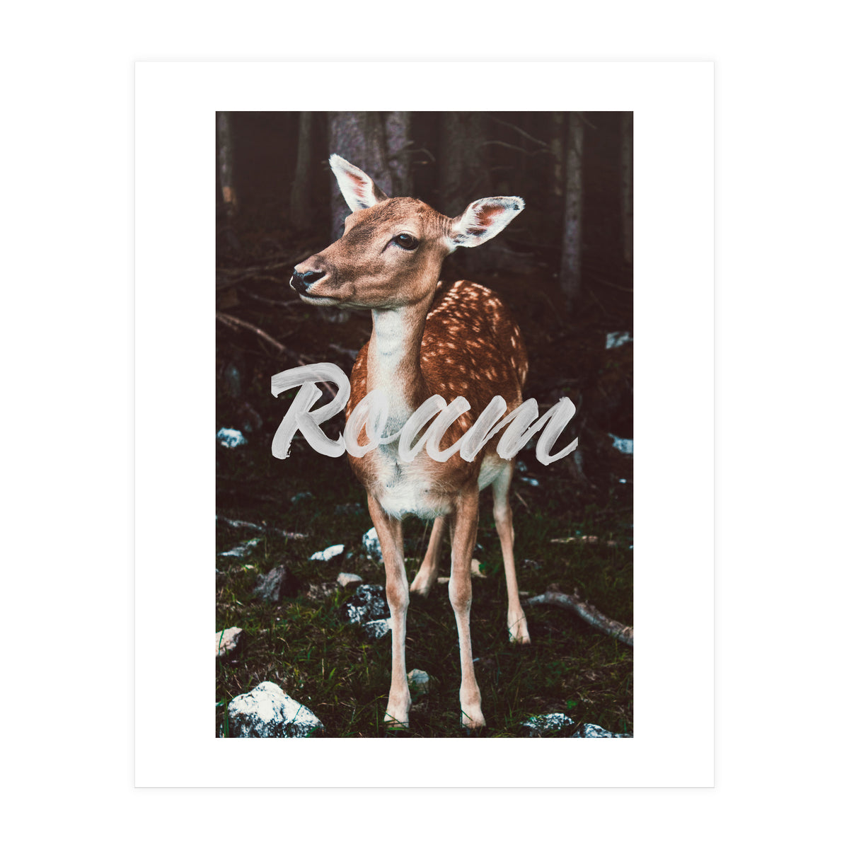Roam (Print Only)