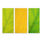 Autumn Leaves (Print Only) thumbnail