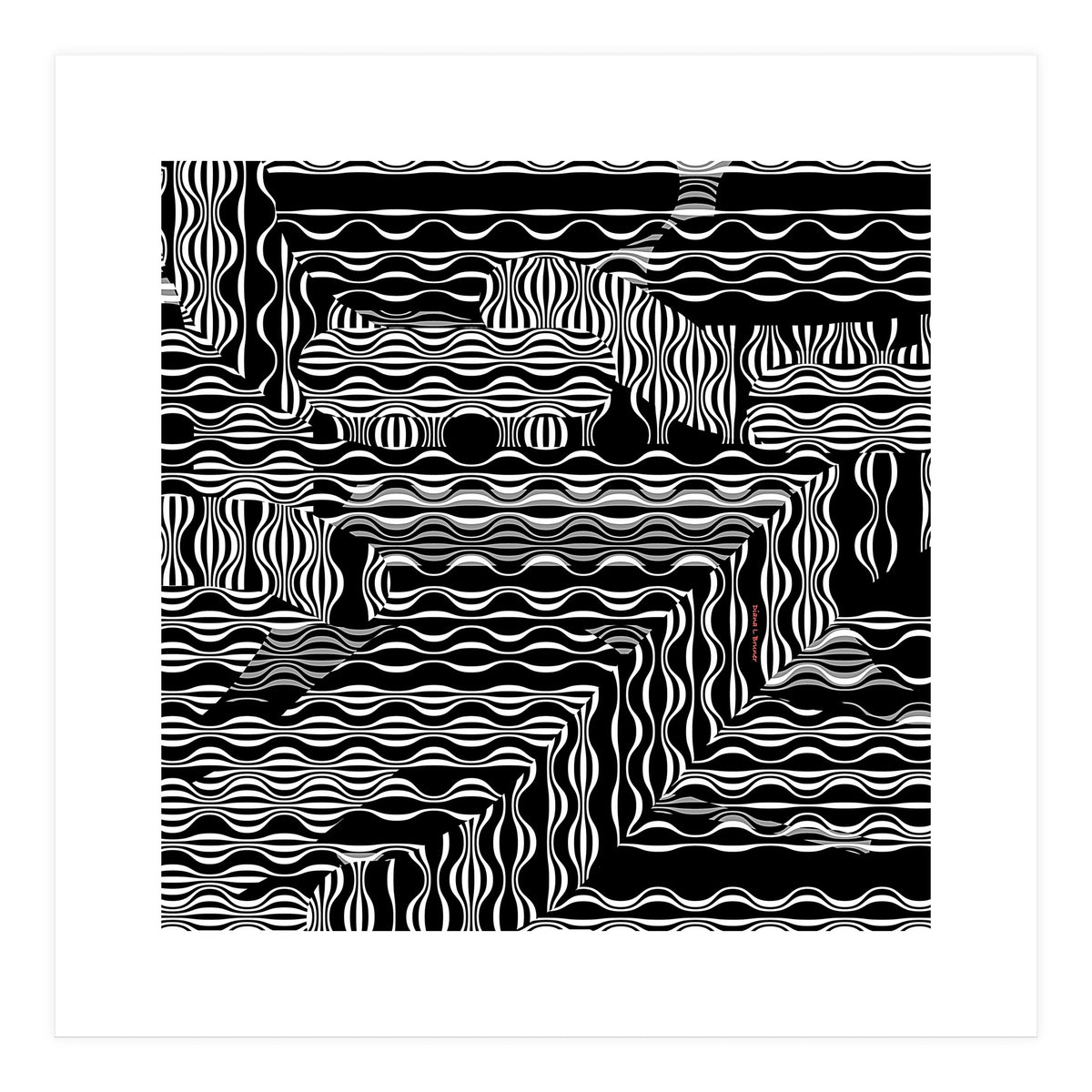 BLACK AND WHITE EXOTIC (Print Only)