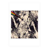 Envision (Print Only) thumbnail