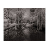 Bute Park, Cardiff  (Print Only) thumbnail