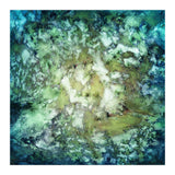 Observation (Print Only) thumbnail
