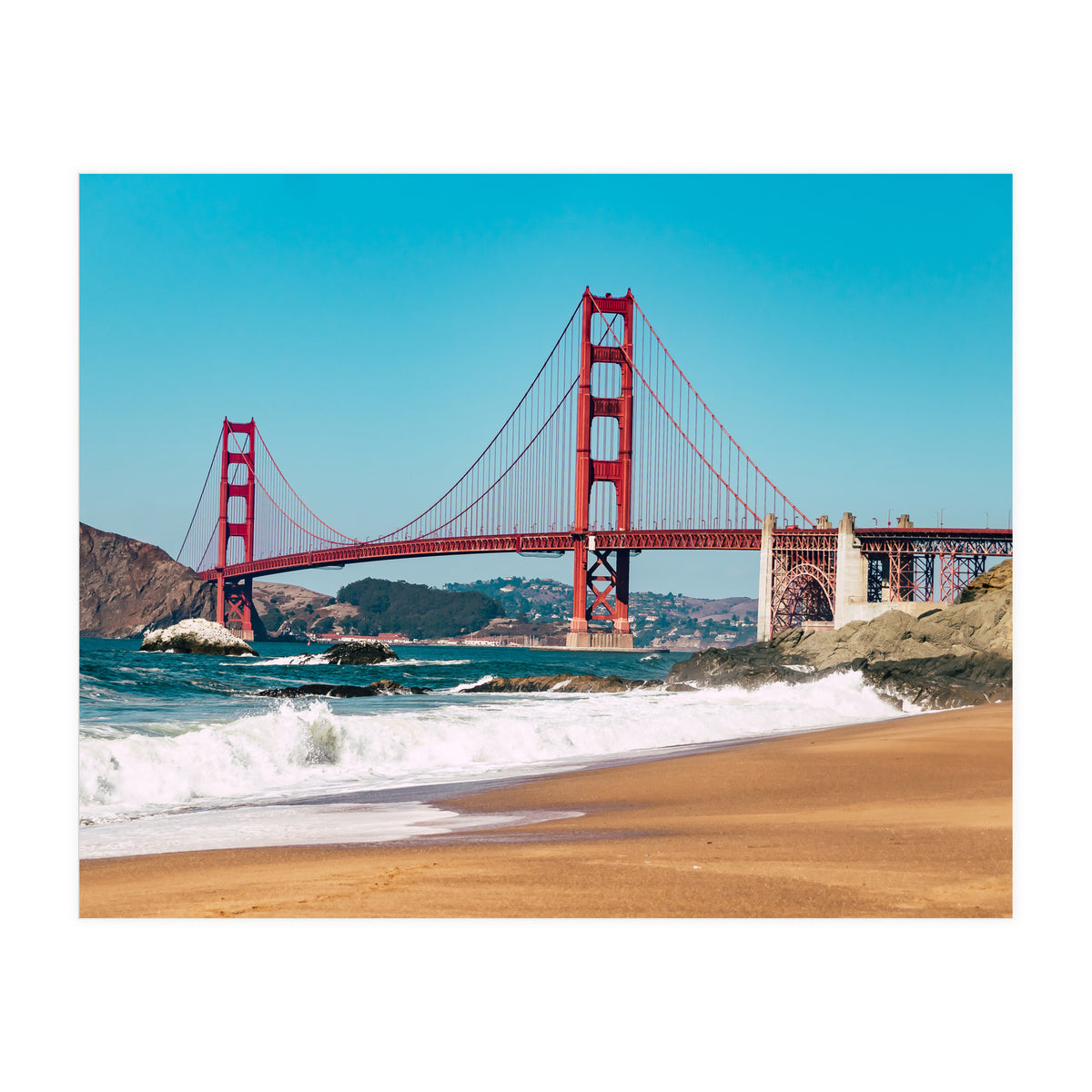 Amaranth (Print Only)