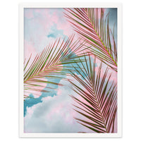 Palms + Sky