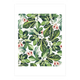 Fig Garden (Print Only) thumbnail