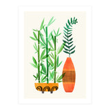 Bamboo And Fern (Print Only) thumbnail